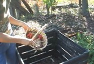 Composting For Busy People