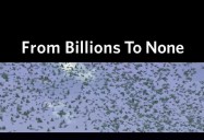From Billions to None: The Passenger Pigeon's Flight to Extinction