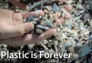 Plastic is Forever: Kids Can Save the Planet Series