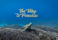 The Map to Paradise