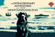 The Extraordinary Adventures of the Newfoundland Dog: Canadiana - Season 3