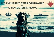 Les aventures extraordinaires du chien de Terre-Neuve: Canadiana - Saison 3