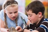 Rocks, Minerals and Geology: Science Kids Series