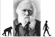 Charles Darwin and the Theory of Evolution: Science Kids Series