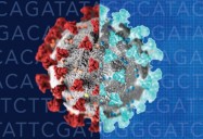 Understanding COVID-19 Variants - Delta, Lambda and Beyond: Science Kids Series