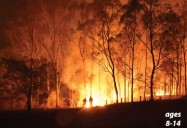 Climate Change and Fires: Social Studies Kids Series