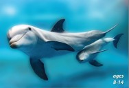 Dolphins - Intelligent and Self-Aware: Science Kids Animal Life Series