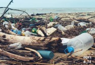 Plastic and Chemical Pollution - Oceans and Sea Life in Peril: Science Kids Series