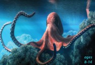 The Amazing Octopus - Legendary Creature of the Sea: Science Kids Animal Life Series