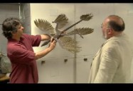 The Four-Winged Dinosaur